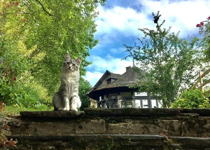 Bed&Breakfast à Rochefort-en-Terre
